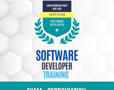 Software Developer Career Path